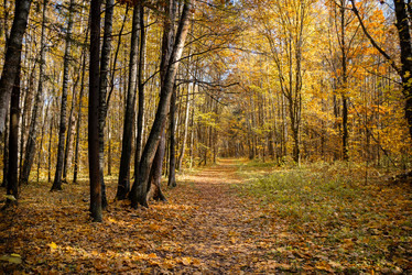 Similar image 21481673