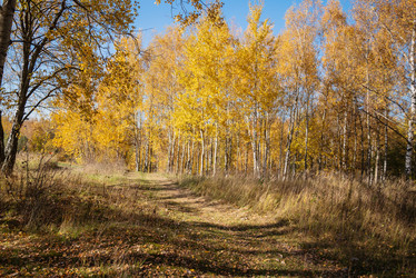 Similar image 21481674