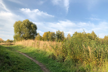 Similar image 21481675