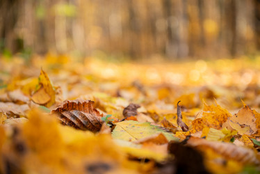 Similar image 21481676