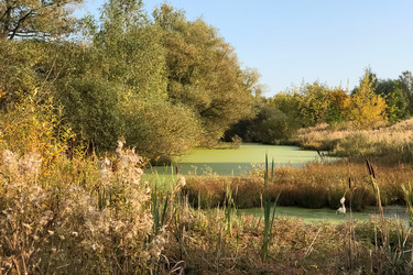 Similar image 21481678