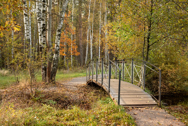 Similar image 21481680