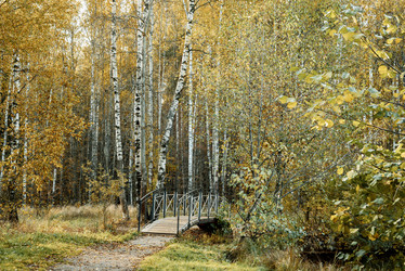 Similar image 21481682