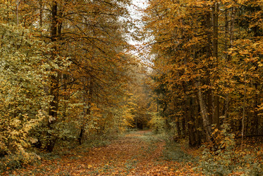 Similar image 21481685