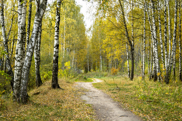 Similar image 21481690