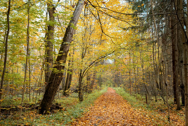 Similar image 21481691