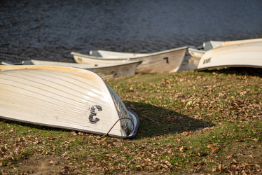 Similar image 21481692