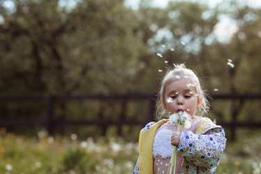 Similar image 21481449