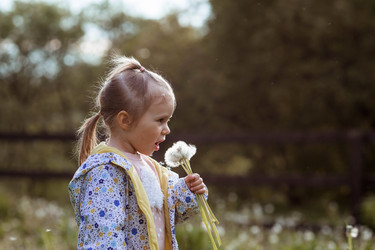 Similar image 21481454