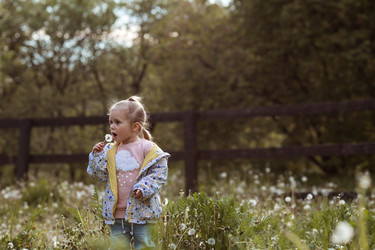 Similar image 21481455