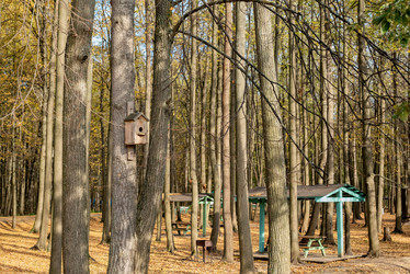 Similar image 21481700