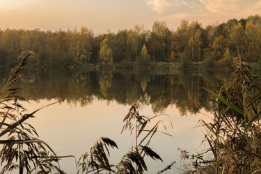 Similar image 21481703