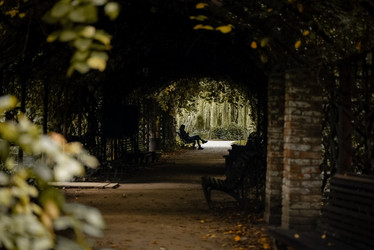 Similar image 21481705