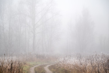 Similar image 21481708