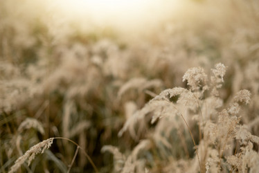 Similar image 21481713