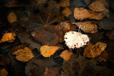 Similar image 21481717