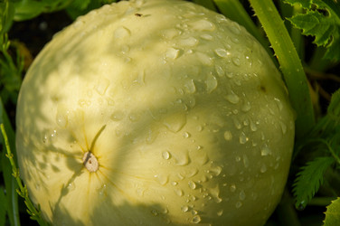 Similar image 21481721