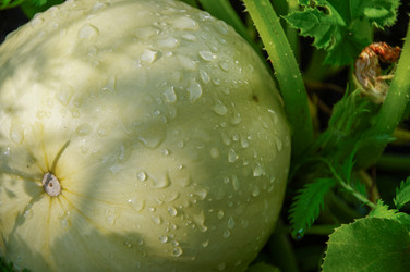 Similar image 21481722