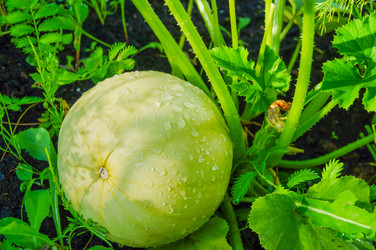 Similar image 21481723