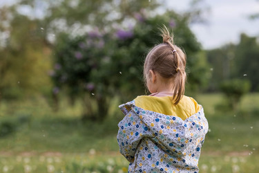 Similar image 21481457