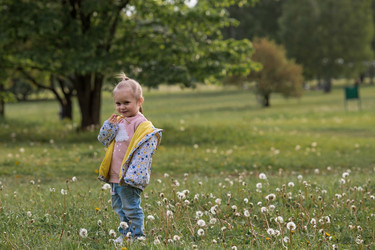 Similar image 21481459