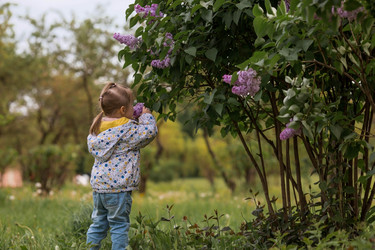 Similar image 21481462