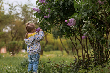 Similar image 21481464