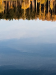 Similar image 21481725