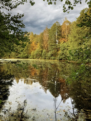 Similar image 21481726