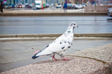 Similar image 21482699