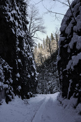 Similar image 21482902