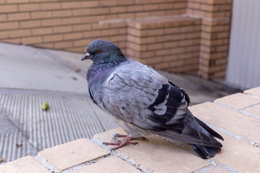 Similar image 21495498