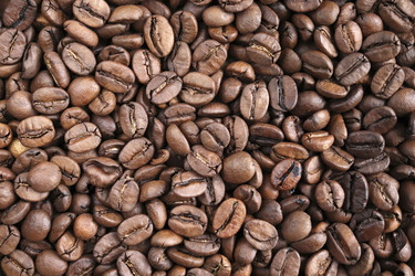 Similar image 21486638