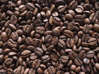 Similar image 21486639