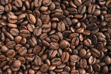 Similar image 21486640