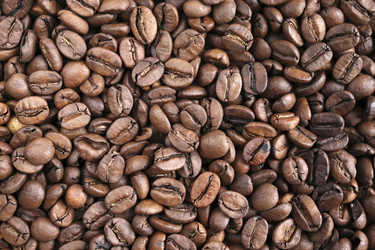 Similar image 21486642