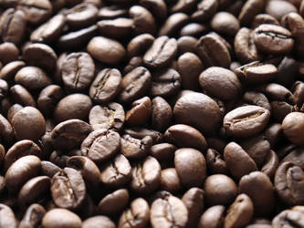 Similar image 21486671