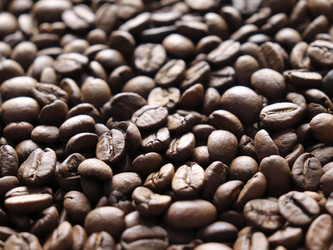 Similar image 21486673