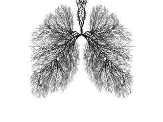 Similar image 21482907