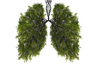 Similar image 21482908