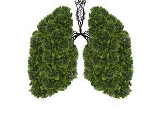 Similar image 21482909