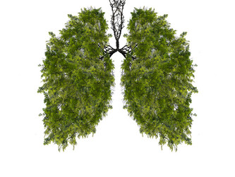 Similar image 21482911