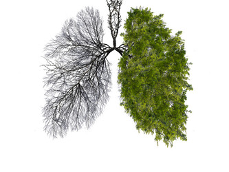 Similar image 21482914