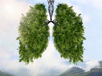 Similar image 21482916