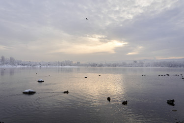 Similar image 21495800