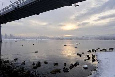 Similar image 21495801