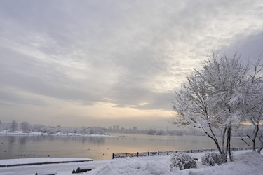 Similar image 21495802