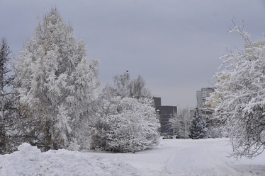 Similar image 21495808