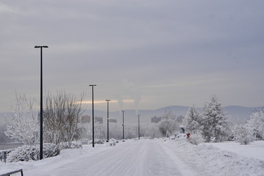 Similar image 21495810