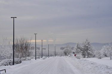 Similar image 21495815